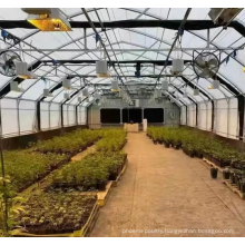 light deprivation film greenhouse for medical planting